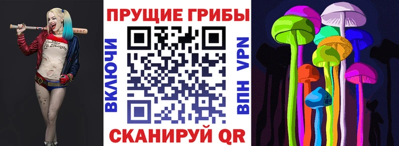 Псилоцибиновые грибы мухоморы  как найти наркотики  Гвардейск 